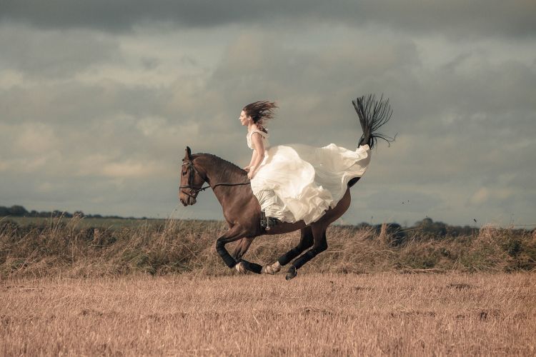 Iska Birnie horse photographer