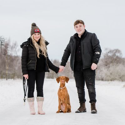 Hungarian Vizsla Rhue at Dunecht Estate