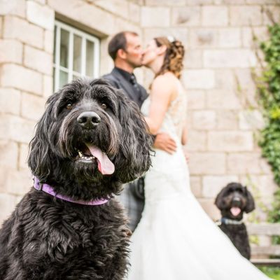 Aberdeen wedding photographer