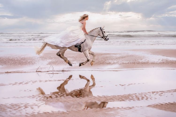 Dramatic wedding photography with horse