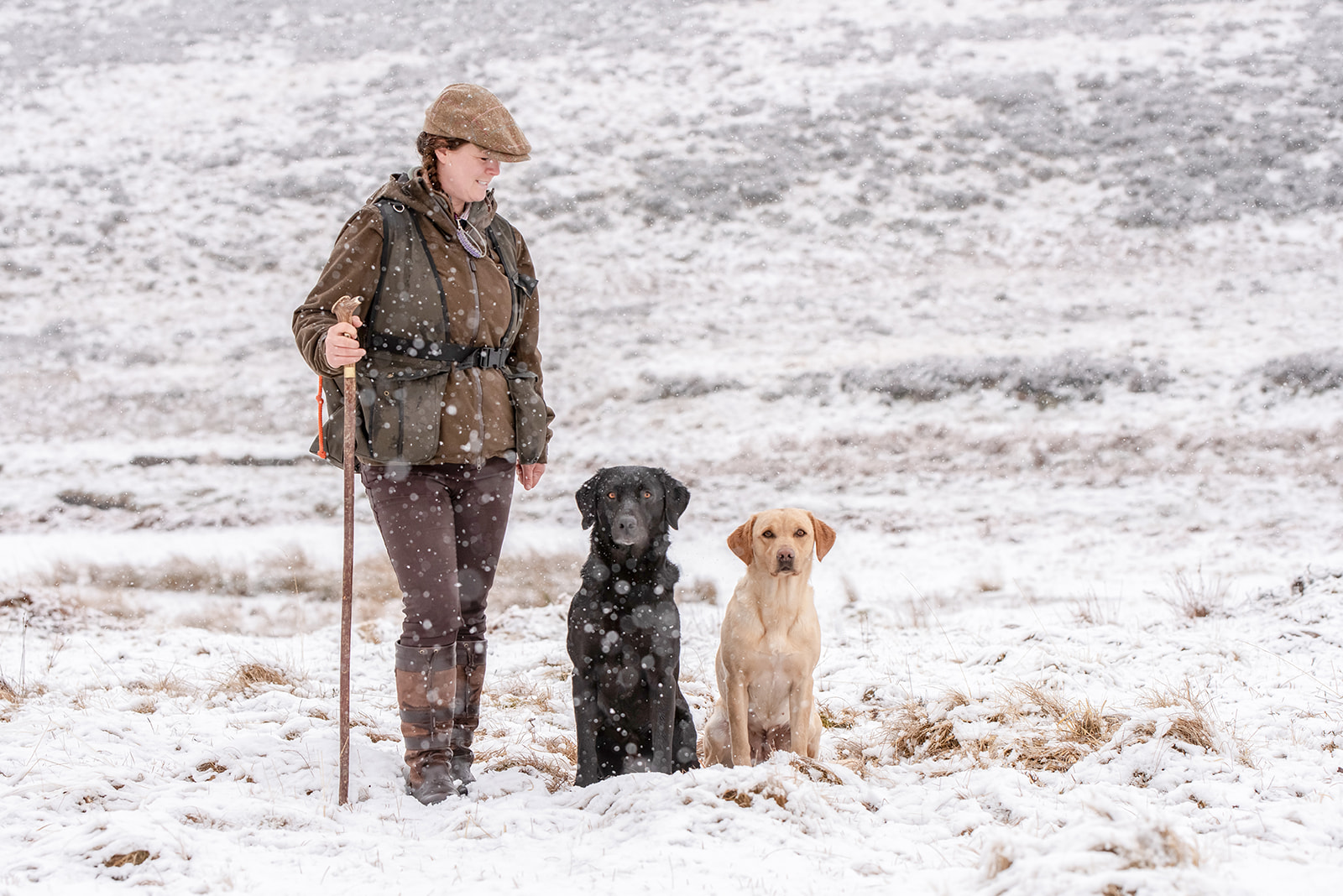 Snow-photo-shoot-dogs