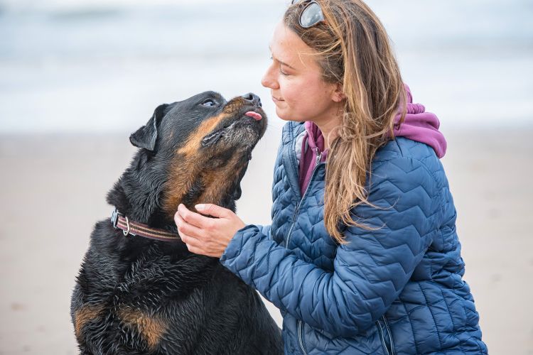 Rottweiler and owner