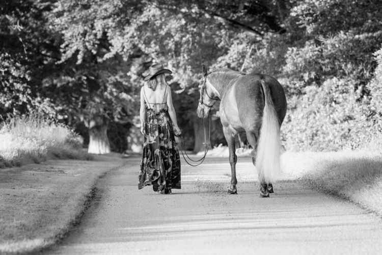 Horse and his owner walking