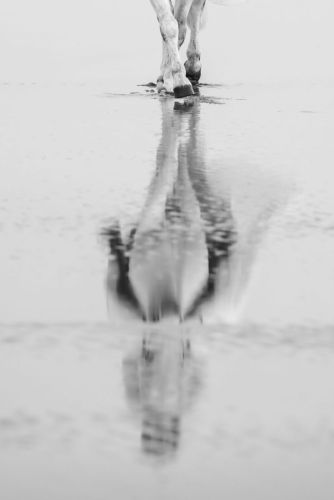 Reflections at the beach