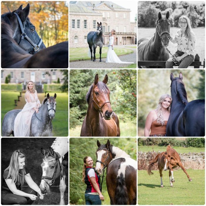 collage of horse photos